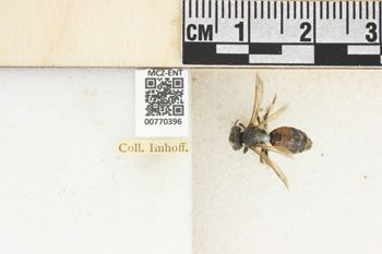 Media type: image;   Entomology 770396 Aspect: Labels
